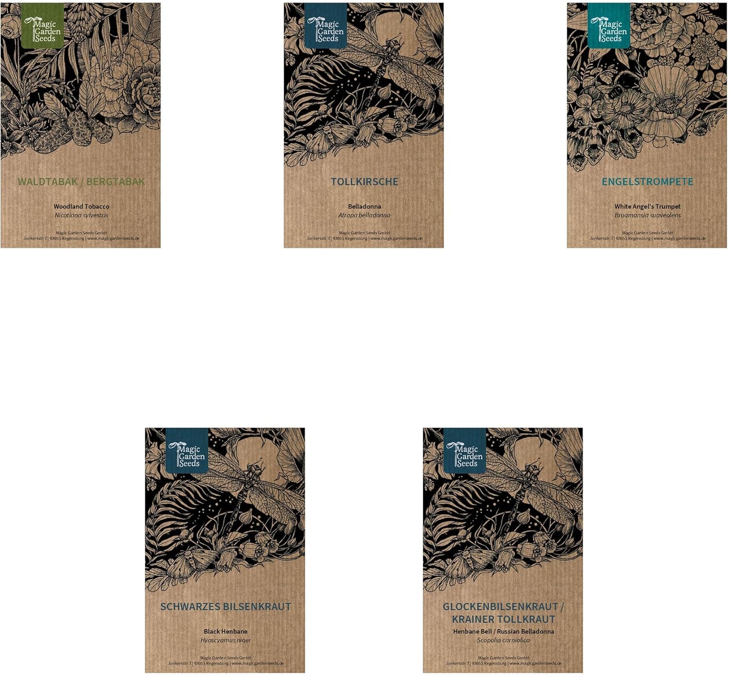 Legendäre Schachtelhalmpflanzen – Samenset mit 5 magischen Pflanzen