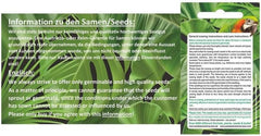 Stk - 20X Satyrium Odorum Orchidee Garten Zimmer Pflanzen - Samen B250 -