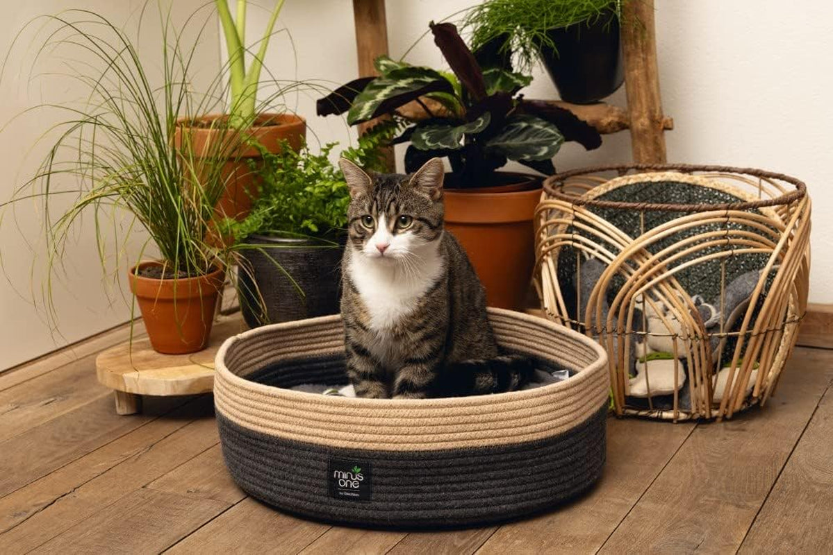 Paturi, cuverturi & mobilier, animale de companie, pisici, paturi pisici, Pisici - culcusuri, saltele