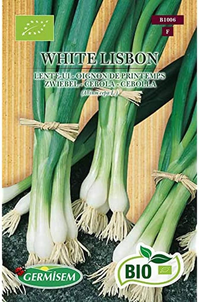 Zwiebel WHITE LISBON, ECBIO1006