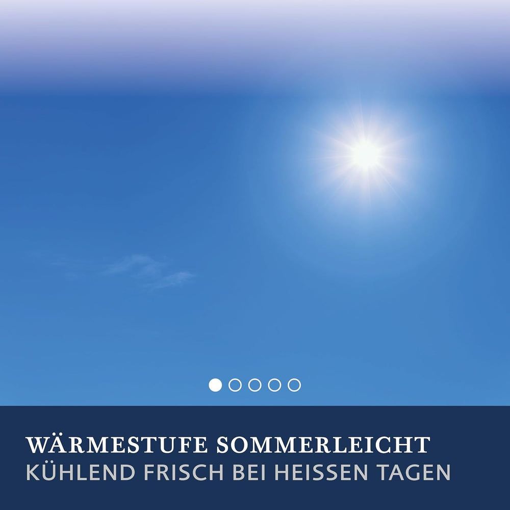 Billerbeck Lina Superlight Steppdecke – Leinendecke – 155 x 220 cm – Sommerdecke, kühlende Steppdecke, leichte Sommerdecke – 70 % Leinen, 30 % Baumwolle, weiß Steppdecken und Steppdecken Naty Shop