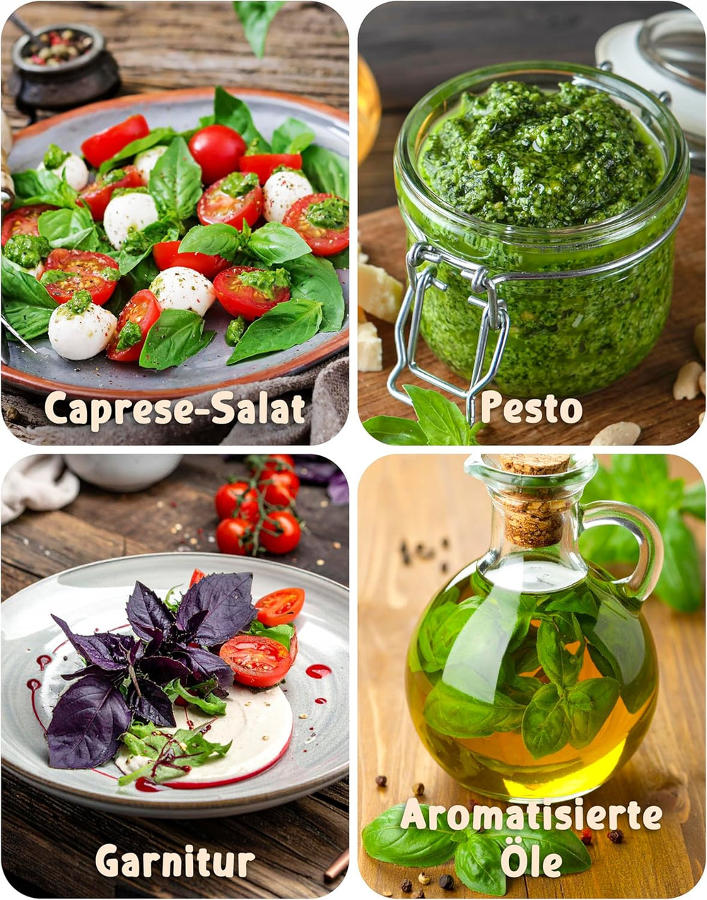 Bio-Basilikumsamen im 6er-Set – 6 Basilikumsamen für den einfachen Anbau im Garten, Balkon oder Hochbeet – Pflanzensamen – Setzlinge