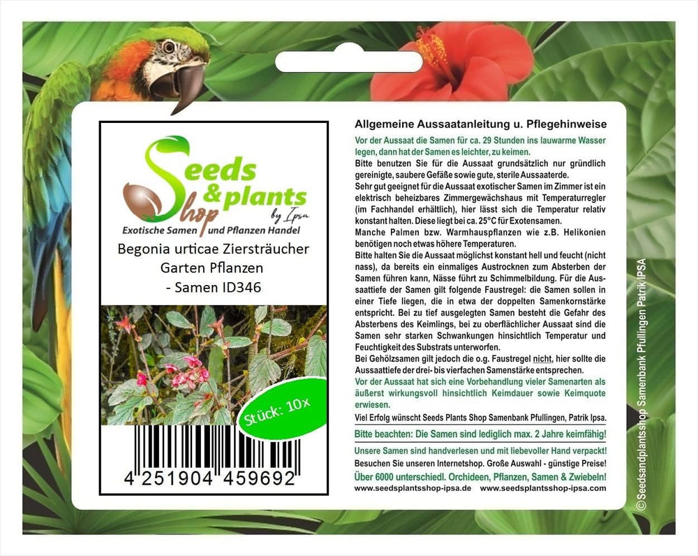 Stk - 10X Begonia Urticae Ziersträucher Garten Pflanzen - Samen ID346 -