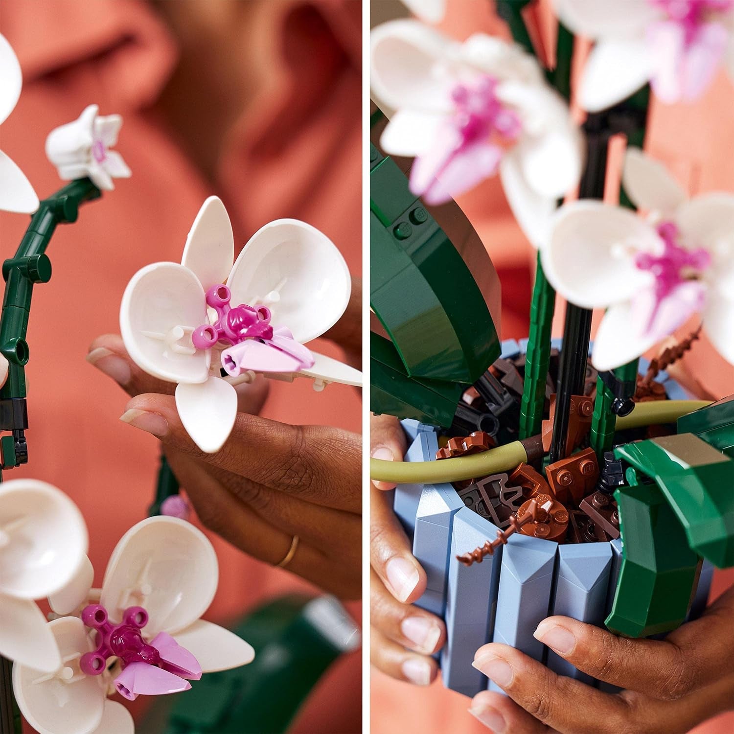 LEGO Botanicals Orchidee – Künstliches Pflanzenset mit weißen und rosa Blumen – Modellbausatz für Erwachsene – Home und Zimmer-Deko – Botanik Kollektion – Geschenke für Frauen und Männer 10311