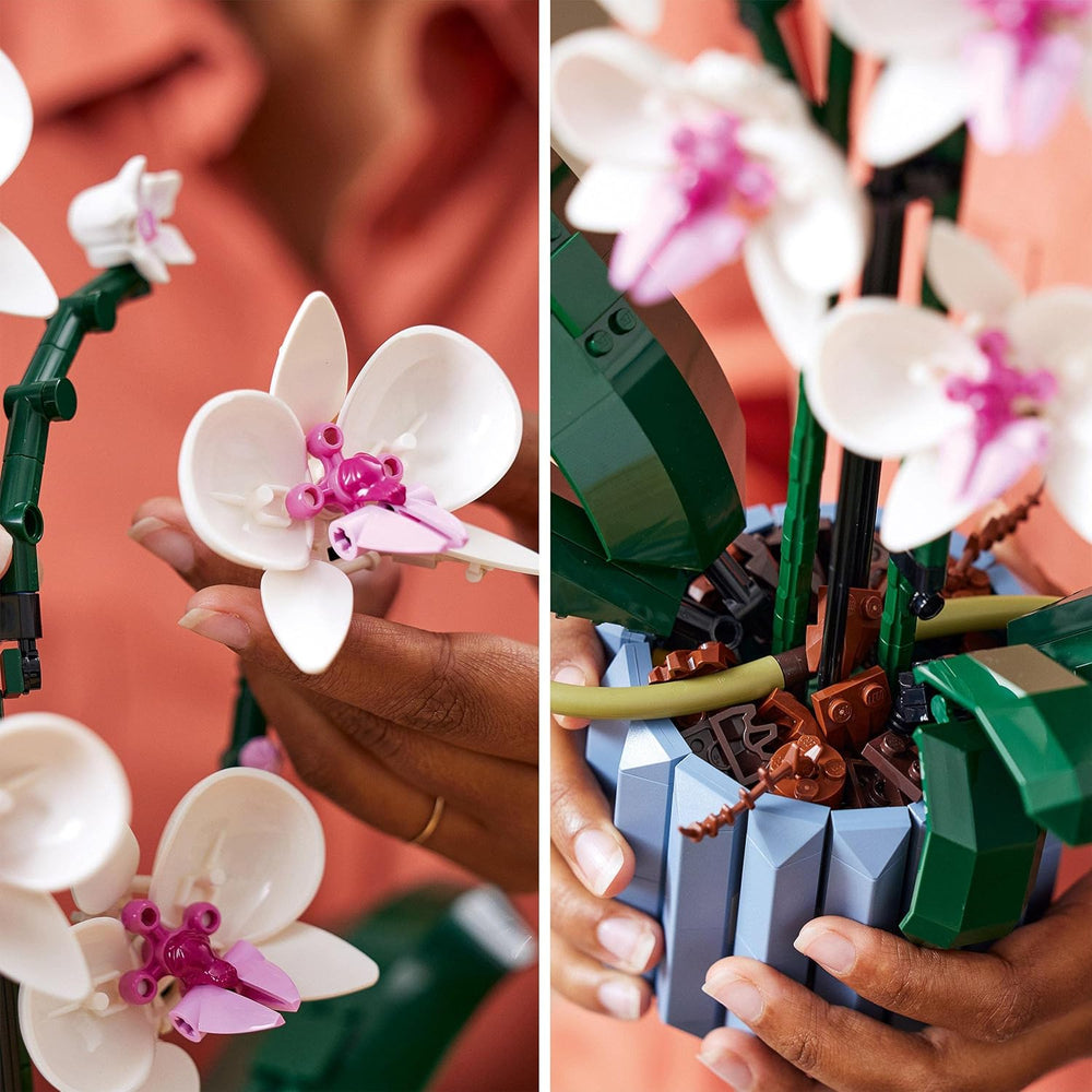 LEGO Botanicals Orchidee – Künstliches Pflanzenset mit weißen und rosa Blumen – Modellbausatz für Erwachsene – Home und Zimmer-Deko – Botanik Kollektion – Geschenke für Frauen und Männer 10311