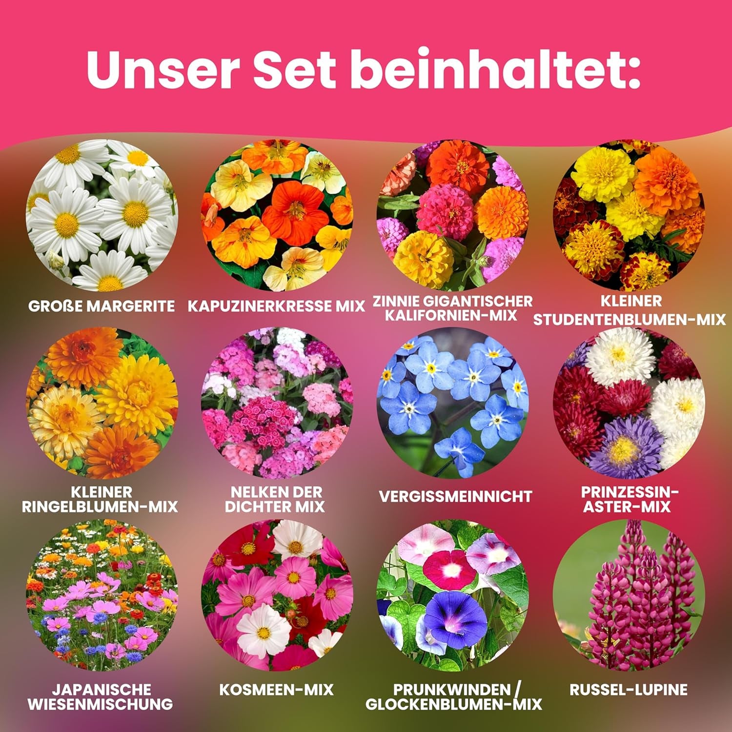LERAVA-Blumensamen (12 Sorten) – winterharte Stauden – Garten- und Balkonsamen – schnelle Keimung für einfache Aussaat – pflegeleichte Blumenmischung für kontinuierliche Blüte