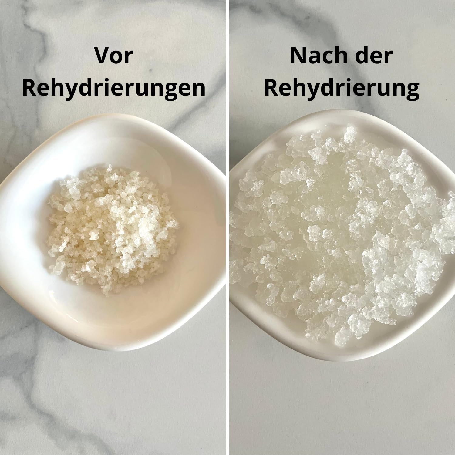 Natural Probio® Wasserkefir, Kefirpilz, Japankristalle, Kefirknollen, Starter Set + Anleitung, Rezept, Tipps, E-Book & Rezeptbibliothek + Kundenservice auf Lebenszeit (10g dehydriert/60g rehydriert)