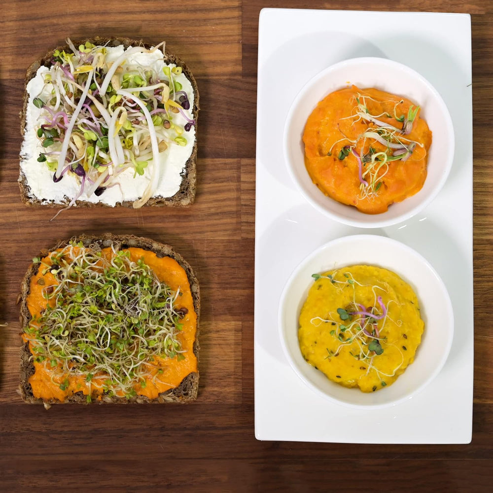 [Original Starterset mit Sprossenglas + Brunnenkressesieb | 1000 ml mit hochwertiger Edelstahl-Netzabdeckung, Ständer, Keramikschale + ABC für die Keimung. [Druckversion] Sämlingsschale mit Keimglas