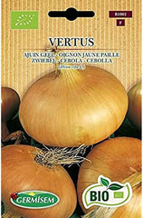 Zwiebel VERTUS, ECBIO1002