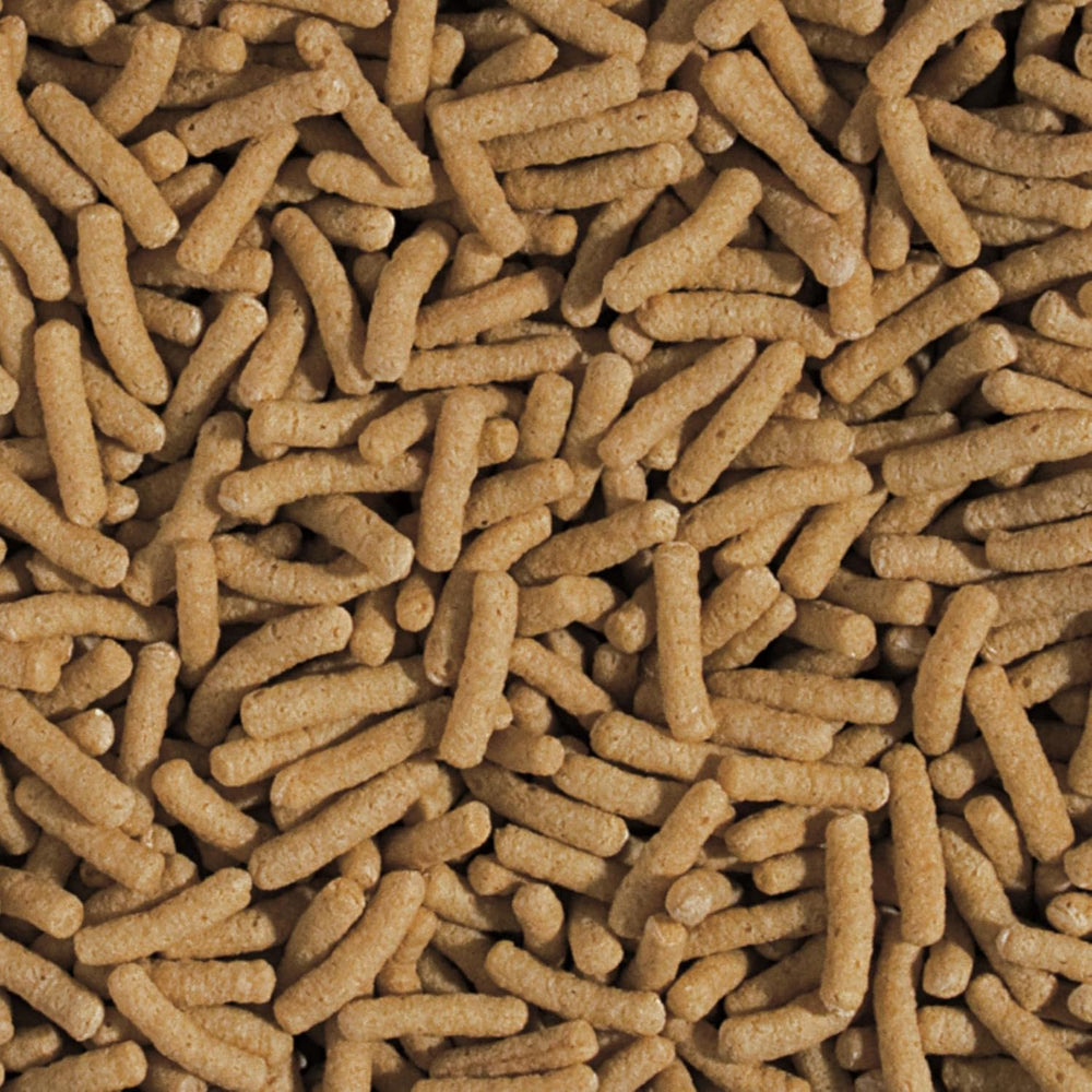 Weizenkeim- und Knoblauchsticks KOI&Goldfish 5L / 430g - Teichfischfutter zur täglichen Fütterung von Koi-Fischen in einem weiten Temperaturbereich von 8 bis 30°C