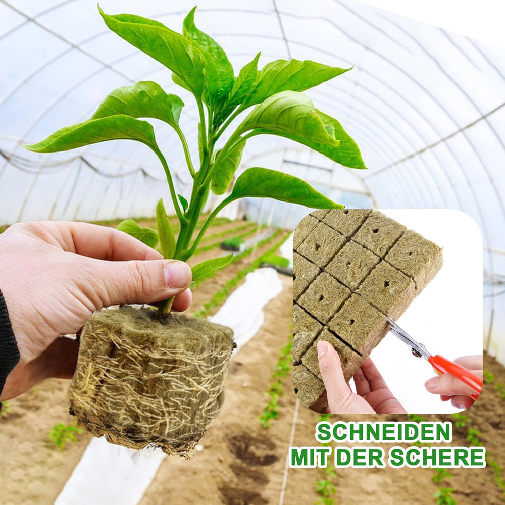 Setzlingswürfel aus Steinwolle, 56 Stück, 4x4x4cm. Umweltfreundlich und gut belüftet für den erdlosen Anbau von Setzlingen, Stecklingen und Klonen.