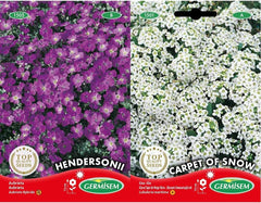 Blaukissen, Mehrfarbig, EC1505 & Steinkraut Alyssum, Mehrfarbig, EC1501