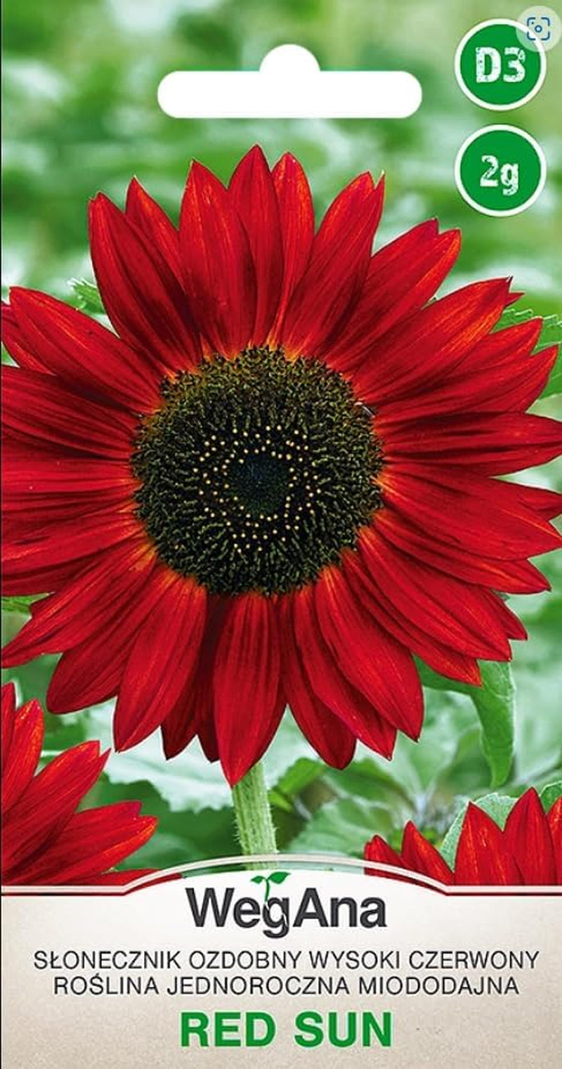 Cosmos Sensation Mix 1g Samen, Cosmos Mix Sommerblumen, Gartenpflanzen Balkonpflanzen, Blumensamen