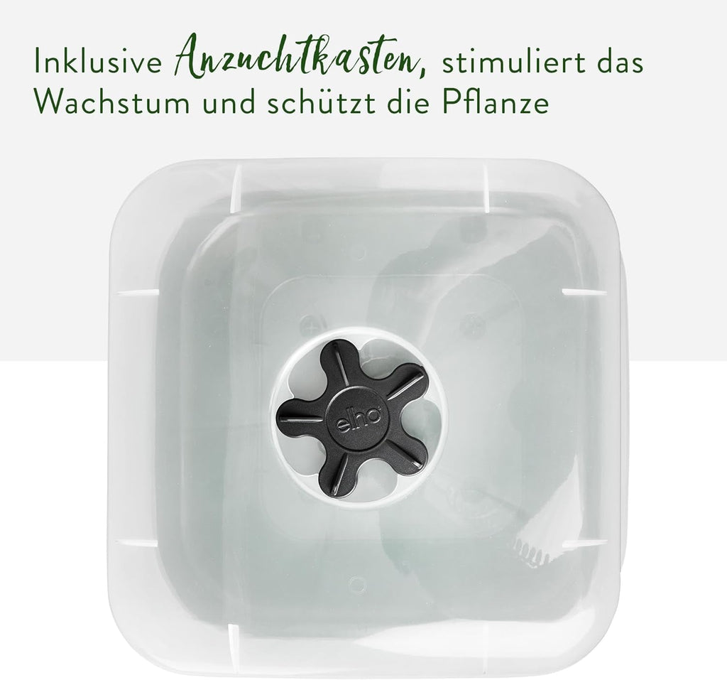 elho Green Basics Ghiveci Pătrat pentru Răsaduri Allin1 15 - Ghiveci pentru Flori pentru Cultivare - 100% Plastic Reciclat - Ø 15.0 x H 12.1 cm - Verde/Verde Frunză