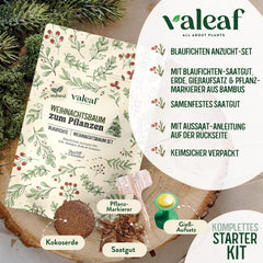 Weihnachtsbaum Anzucht Set I Tolle Geschenk-Idee, Wichtelgeschenke Weihnachten, Nikolausgeschenke Und Garten Geschenke I Weihnachtsbaum Aus Der Dose (Blaufichte 3)