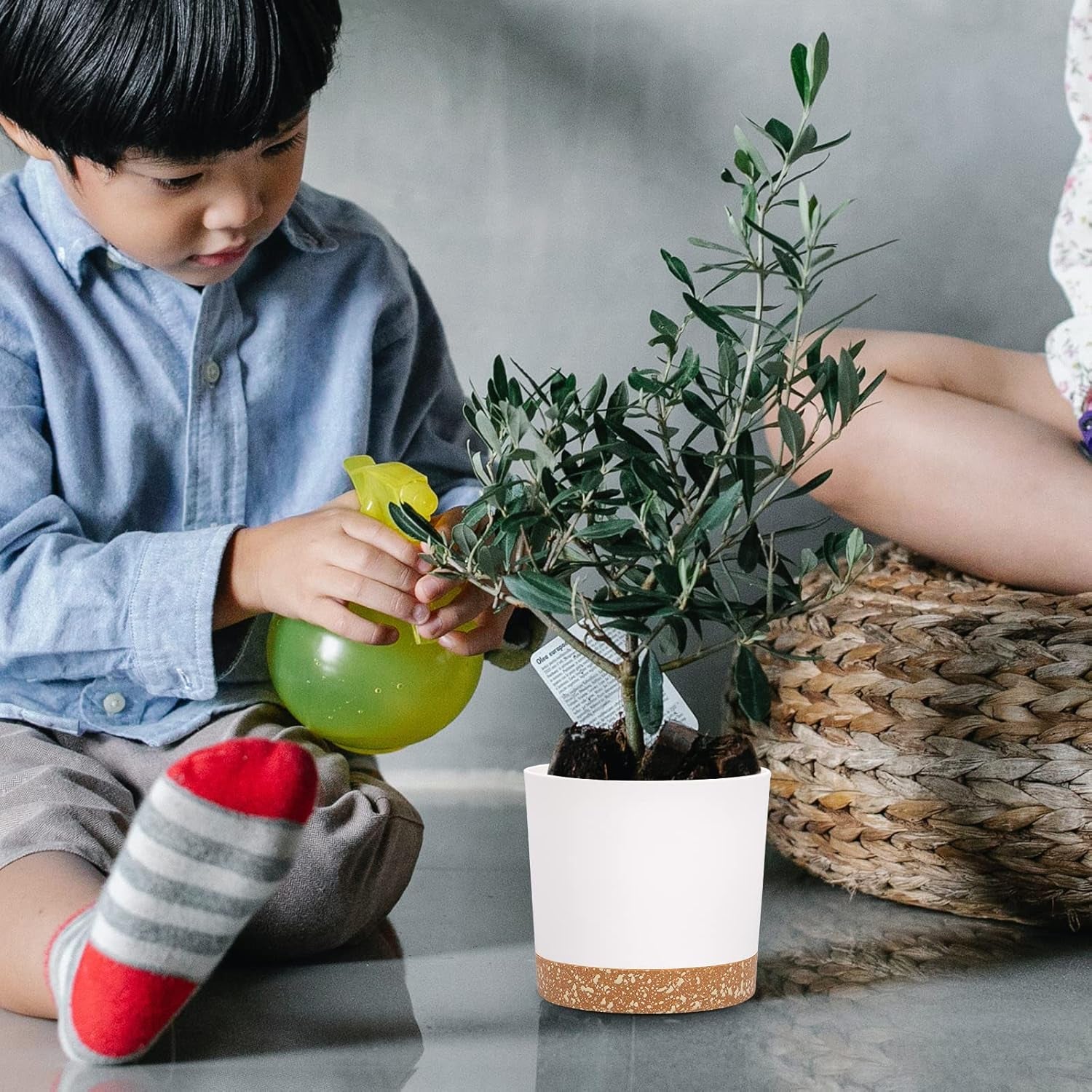 12,7 cm großes Set mit 2 Blumentöpfen, Pflanztöpfe für den Innenbereich mit Ablauflöchern und abnehmbarem Boden, moderne dekorative Untersetzer für Pflanzgefäße im Garten im Freien (weiß 12,7 cm)