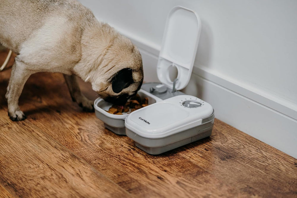 Hrănitor automat pentru animale Cat Mate pentru două mese (C200)