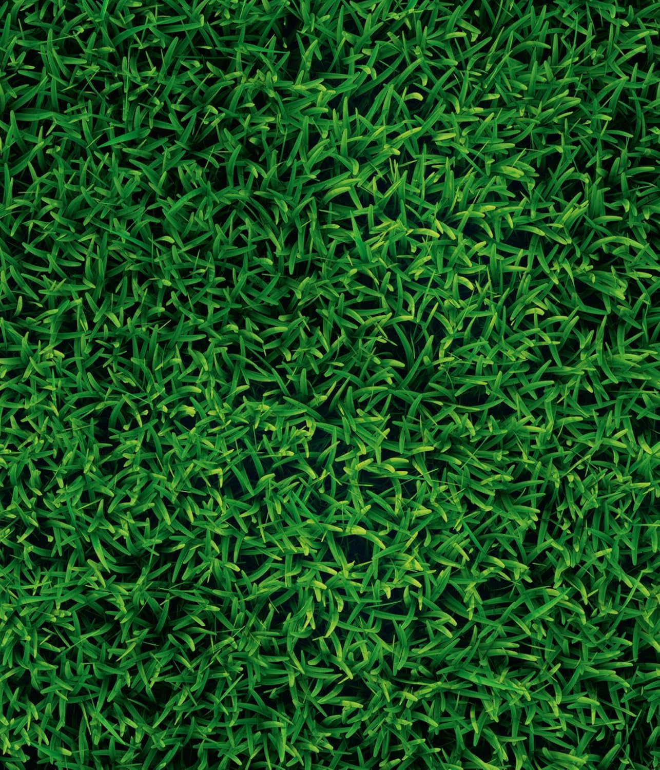 Dehner Bio Saatgut Rasen-Nachsaat, Hochwertige Saatgutmischung, Raschwüchsig / Schnellkeimend, 500 G, Für Ca. 25 M², Natur