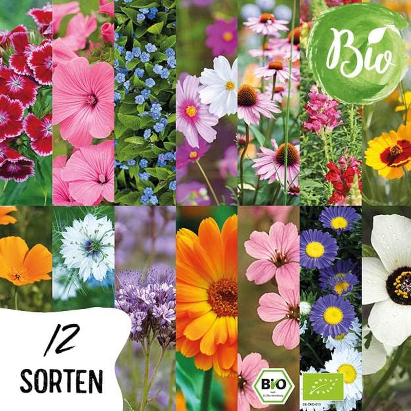 Bio-Blumensamen-Set | 12 Sorten Blumensamen | Premium-Blumensamen | Wildblumensamen-Pflanzensamen-Set | Blumensamen | Blumensamen für den Balkon | Ideales Geschenk mit Blumensamen