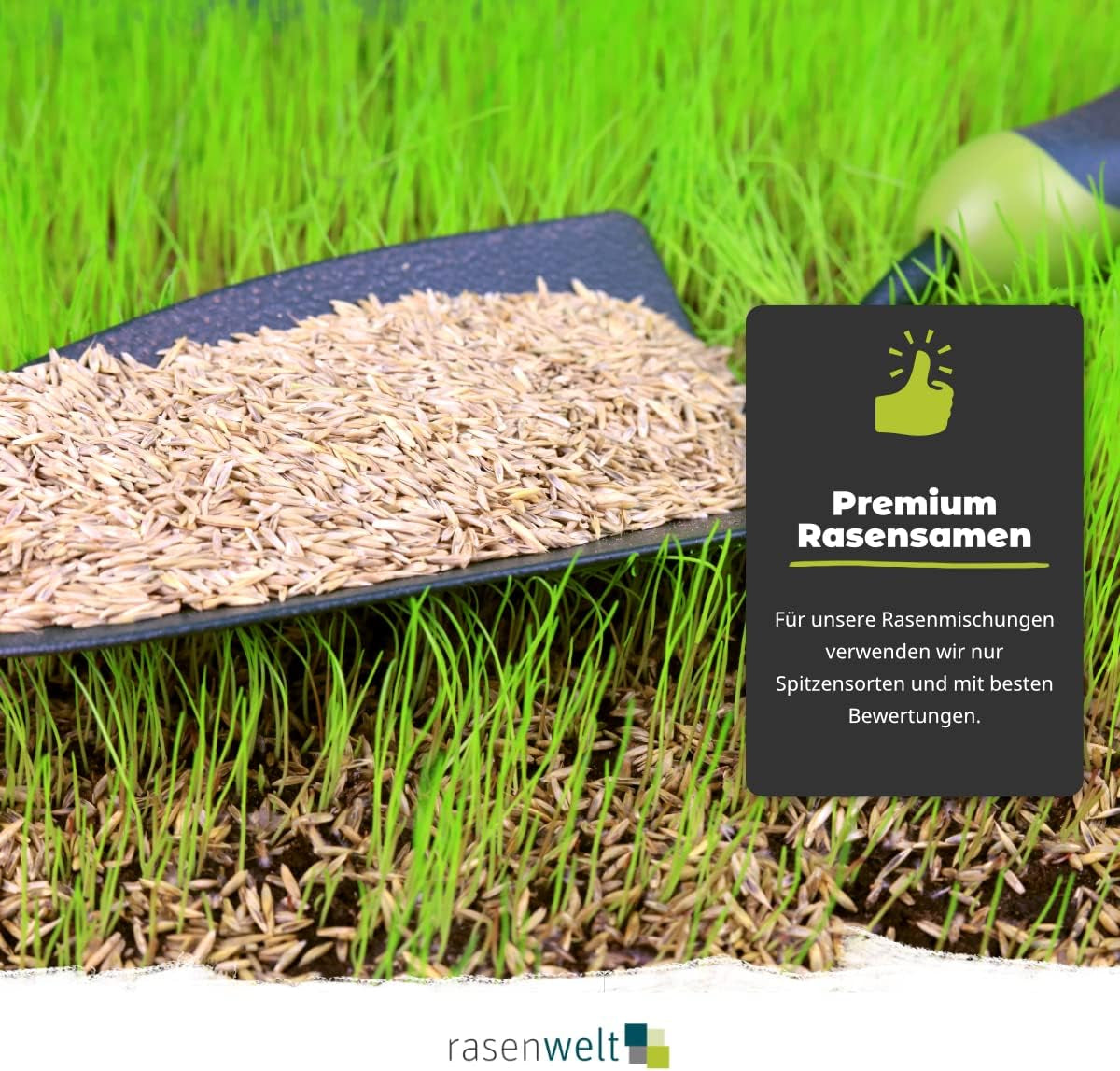 ARENA Rasensamen Sun and Shade 5Kg | Premium Grassamen Für Sonne, Schatten & Trockenlagen – Trockenrasen & Schattenrasen Geeignet – Hitzeverträglich & Pflegeleicht