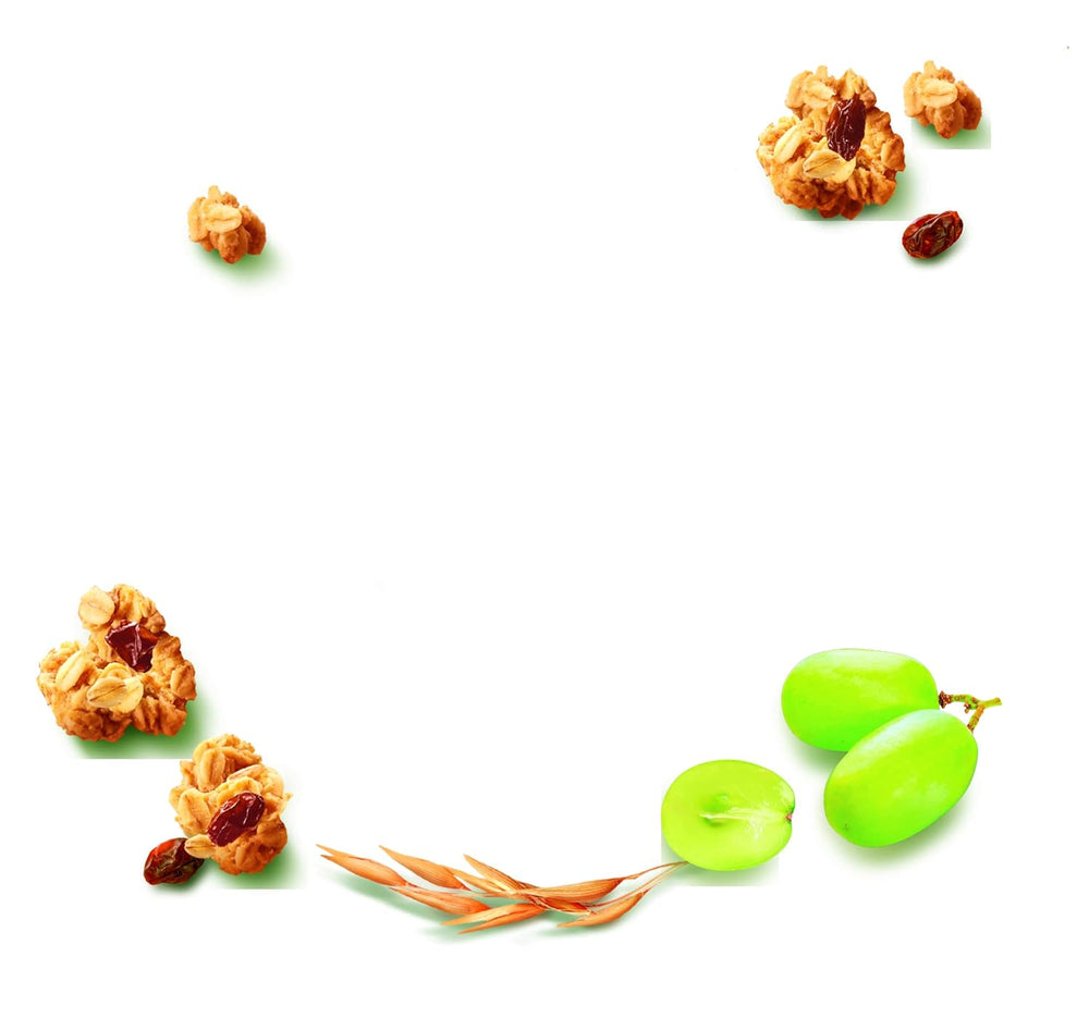 Dr. Oetker Vitalis Classic Knuspermüsli: Großpackung knuspriges Frühstücksmüsli mit Rosinen, 1 Packung, 1,5 kg