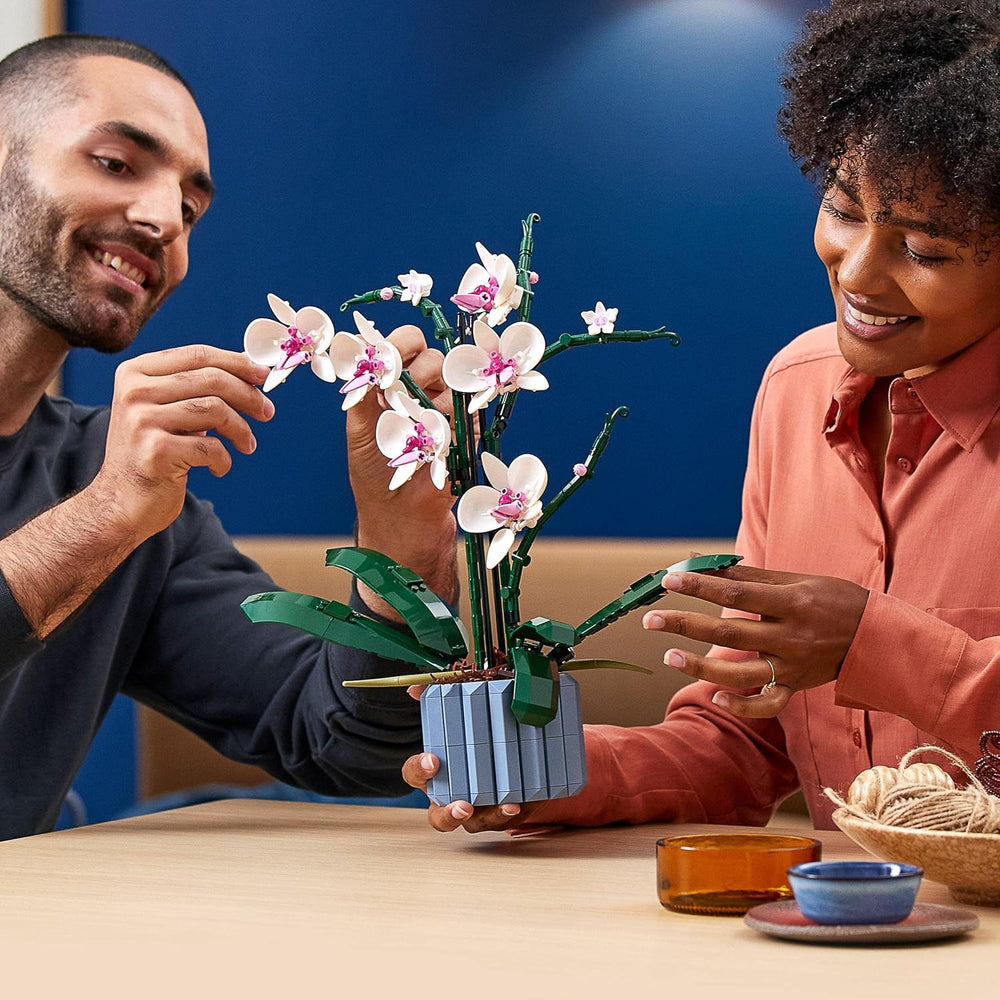LEGO Botanicals Orchidee – Künstliches Pflanzenset mit weißen und rosa Blumen – Modellbausatz für Erwachsene – Home und Zimmer-Deko – Botanik Kollektion – Geschenke für Frauen und Männer 10311