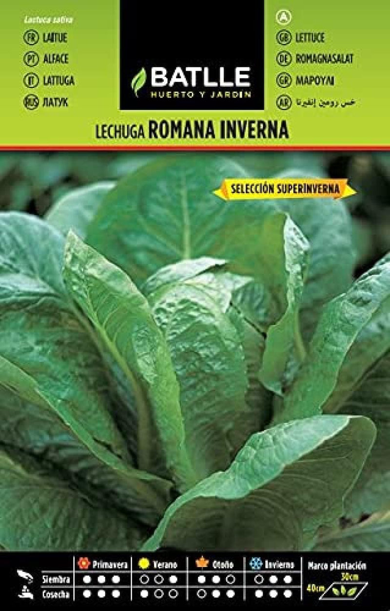 Batlle Gemüsesamen - Hellgrüner Römersalat (6400 Samen)