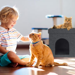 Pături & Mobilier, Animale de companie, Peșteri & Case, Pisici, Paturi pentru pisici, Pisici - culcusuri, saltele