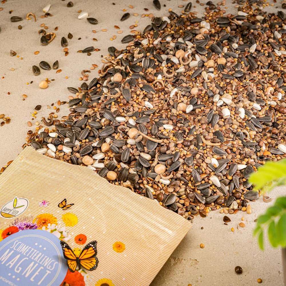 100g Schmetterlingssamen für eine bunte Blumenwiese – Bunte und nektarreiche Wildblumensamenmischung für Schmetterlinge