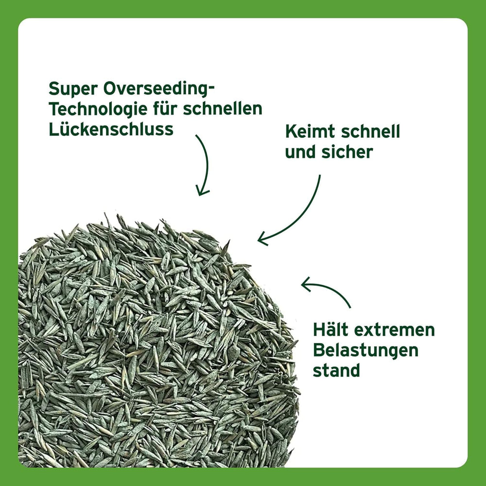 Substral Rasensamen Sport Und Spiel, 2Kg Für 100M² - Strapazierfähige Rasensaat-Mischung Mit Grünfärbung Gegen Vogelfraß