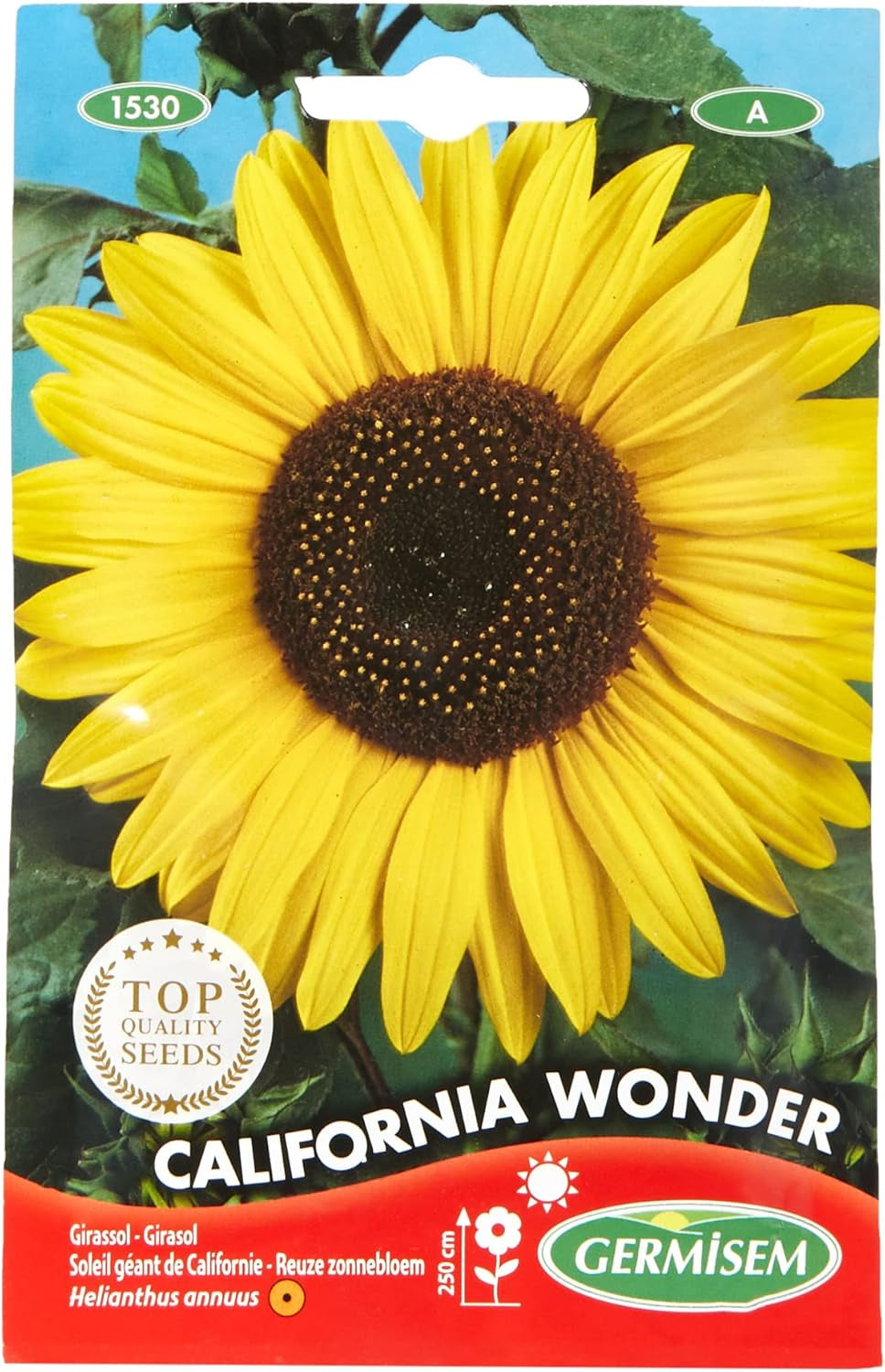 Sonneblume CALIFORNIA WONDER EC1530 Mehrfarbig