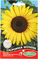 Sonneblume CALIFORNIA WONDER EC1530 Mehrfarbig