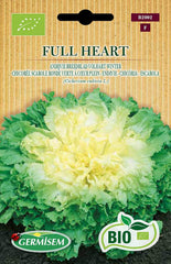 Endivie FULL HEART