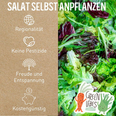 BIO Salat Samen Set - 14 Sorten Salatsamen Aus Biologischem Anbau I Samenfestes Salat Saatgut I Bio Salat Set Für Balkon, Garten Und Hochbeet I 14Er Saatgut Gemüse Inkl. Gemüsesamen Alte Sorten
