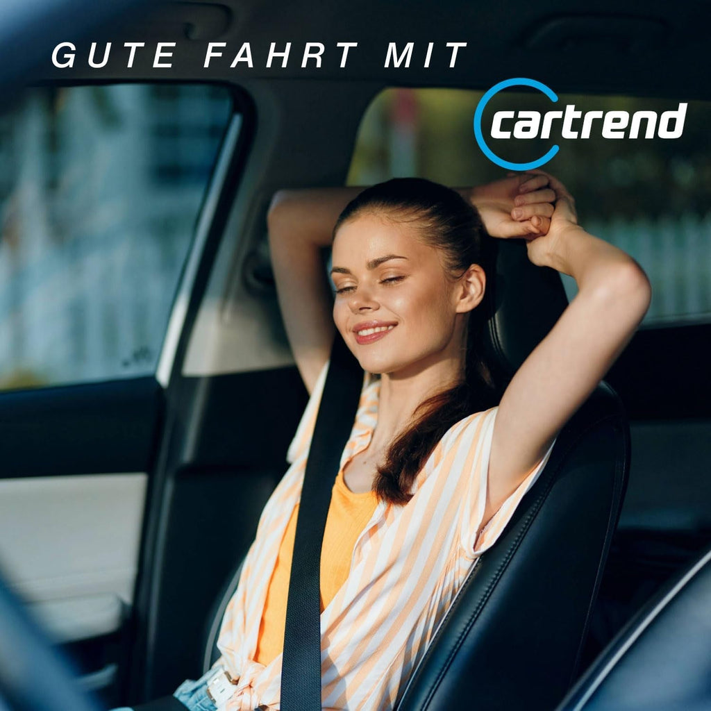 Cartrend pernă lombară din spumă cu memorie, pernă ergonomică pentru spate pentru mașină, birou și călătorii, respirabilă, capac detașabil, suport pentru o postură sănătoasă de ședere, 1 bucată, negru Perne lombare Naty Shop