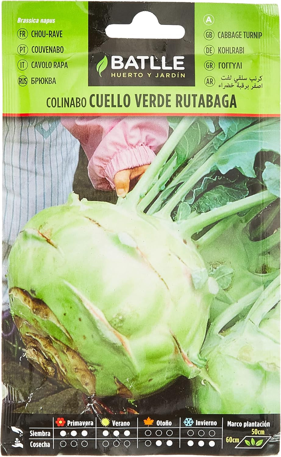Batlle Gemüsesamen - Kohlrabi Sorte Rutabaga Cuello Verde (7000 Samen)
