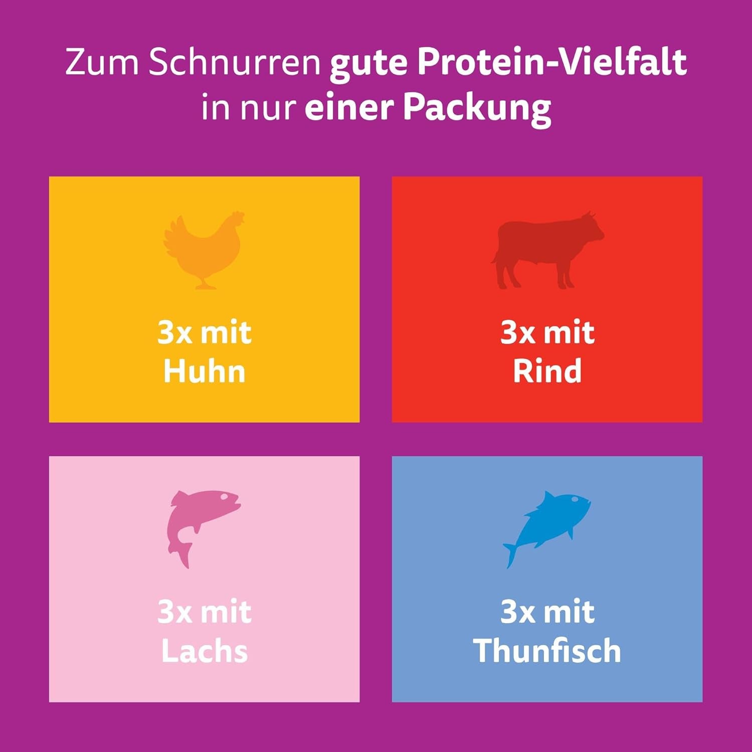 Hrană umedă Whiskas Senior 7+ Selecție mixtă în sos, 48 pliculețe, 12x85g (pachet de 4) – Hrană umedă de înaltă calitate pentru pisici de 7 ani și peste