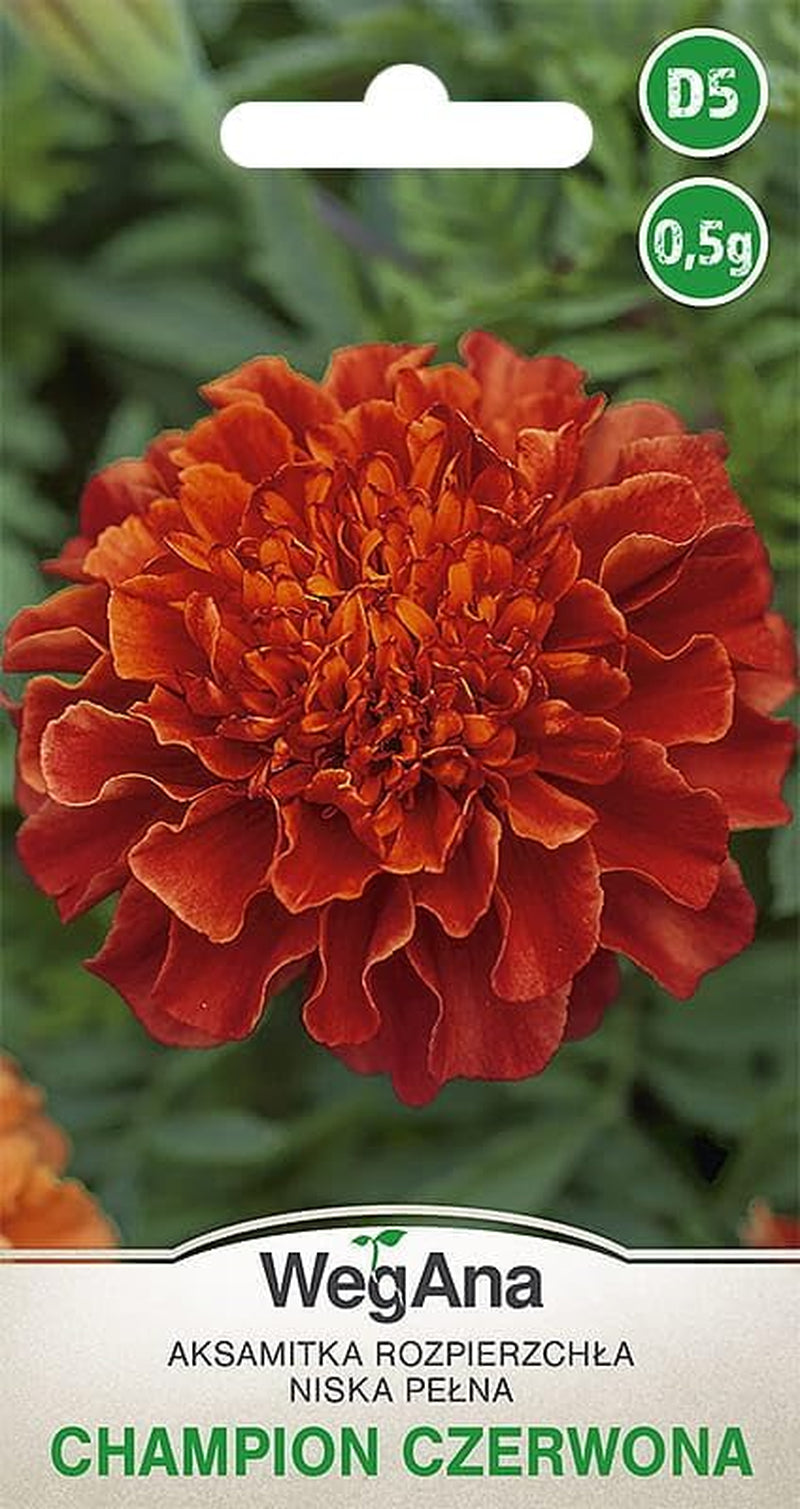 Cosmos Sensation Mix 1g Samen, Cosmos Mix Sommerblumen, Gartenpflanzen Balkonpflanzen, Blumensamen