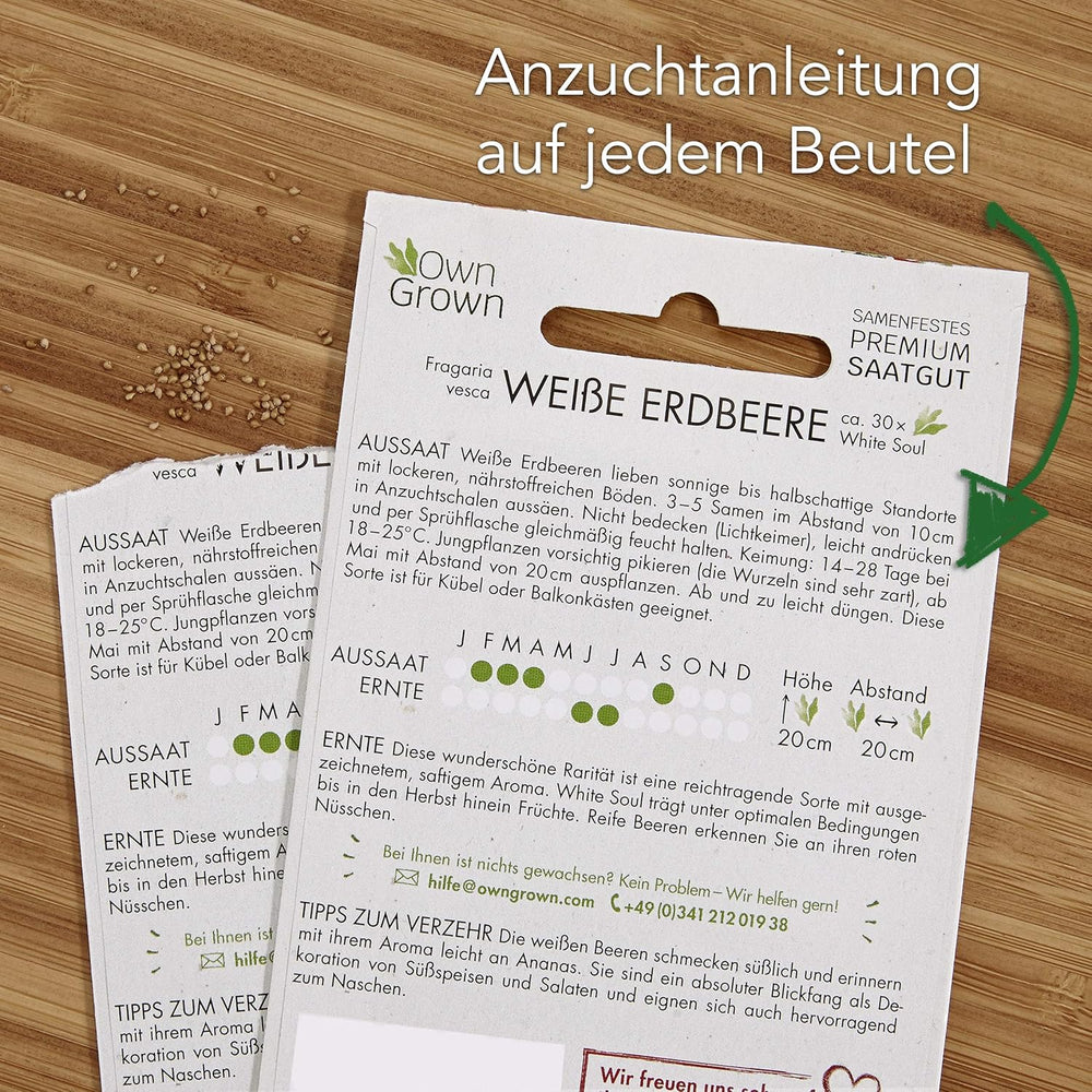 Obstsamen-Set: Premium-Gartensamen mit 8 Sorten Obstpflanzen für Garten und Balkon – Wassermelonenkerne, Erdbeerkerne, Stachelbeeren, Rhabarber und mehr – Obstsamen-Geschenkset von OwnGrown