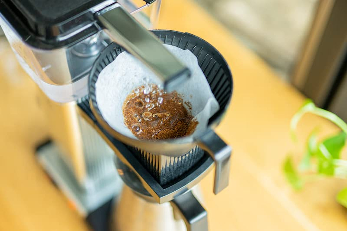 Filtru Spring Bloom | 250 g boabe întregi | echitabil și sustenabil | proaspăt prăjit | boabe de cafea 100% Arabica | cafea specială | 19 grame Cafe Roastery…