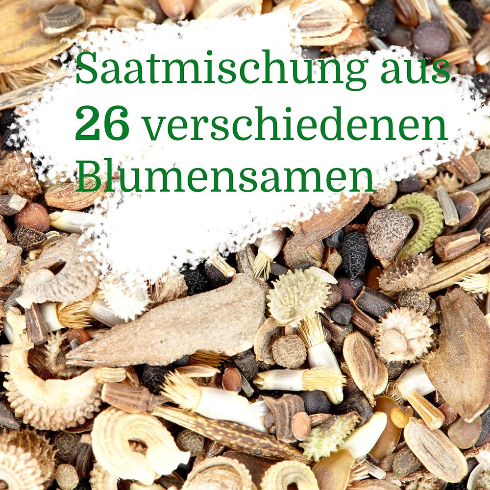 Butterfly Meeting Blumenmischung: 100 g Premium-Schmetterlingsblumensamen – insektenfreundliche Bienensamen, mehrjährige und einjährige Blumensamen für Wiesen – Wildblumensamen von OwnGrown