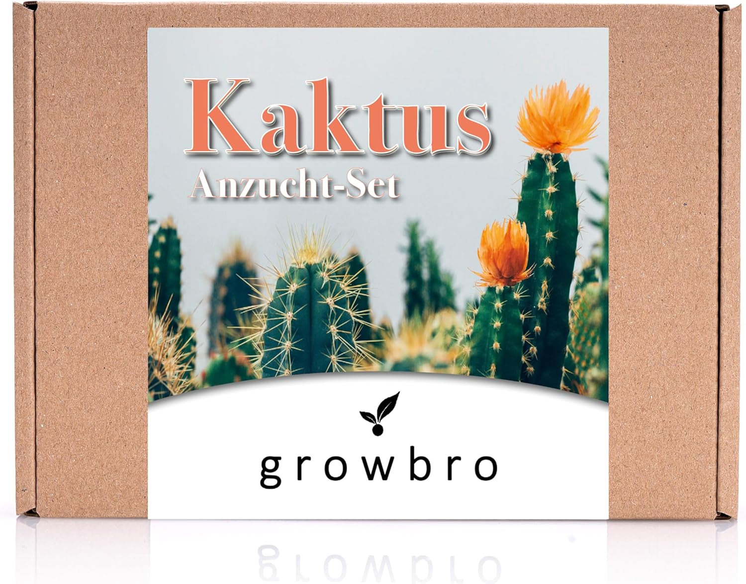 Bonsai Anzuchtset Von Growbro - ZÜCHTE DEINEN EIGENEN BONSAI BRO, Bonsai Starter Kit Inkl. Samen, Sprühflasche, Uvm.