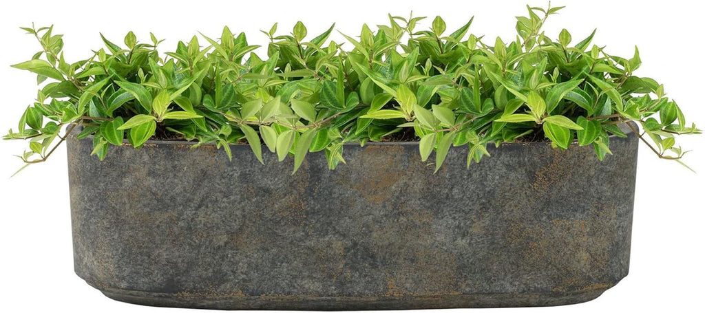 Ghiveci ceramic, model geometric în formă de lămâie, 12 x 12 cm