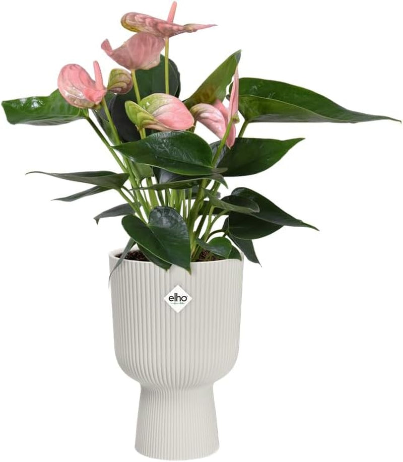 Ghiveci elho Vibes Fold Coupe 14 - Ghiveci de flori de interior - Plastic 100% reciclat - Ø 13,9 x H 21,0 cm - Alb/Alb mătăsos