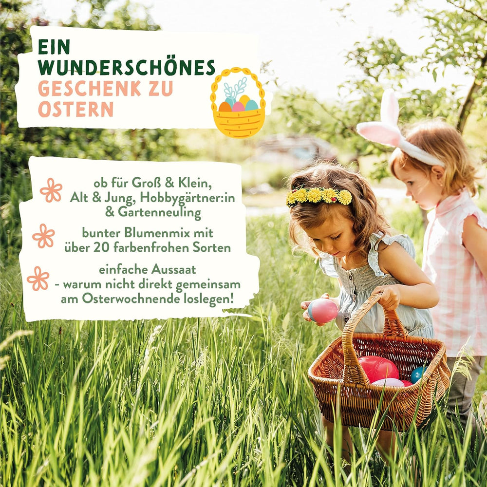 Wildblumenwiesesamen | Ostergeschenk-Blumensamen, Ostergrassamen | Osterblumensamen und Ostergeschenke für Kinder | Wildblumensamen | Samenpakete für eine Wildblumenwiese