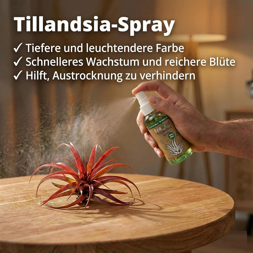 Vdvelde.Com - Tillandsia Spray - • Pflege Für Luftpflanzen • 3 X 125 Ml • in Praktischer Sprühflasche