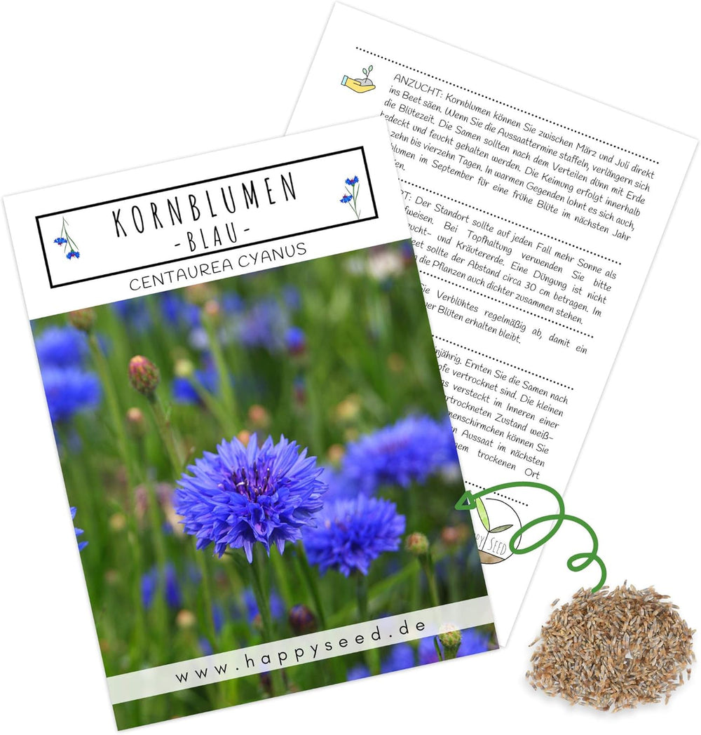 Centaurea cyanus Samen – Wunderschöne und lebendige Blüten mit langer Blütezeit für eine bunte Blumenwiese (Mischung, 1000 Samen, 80 cm)