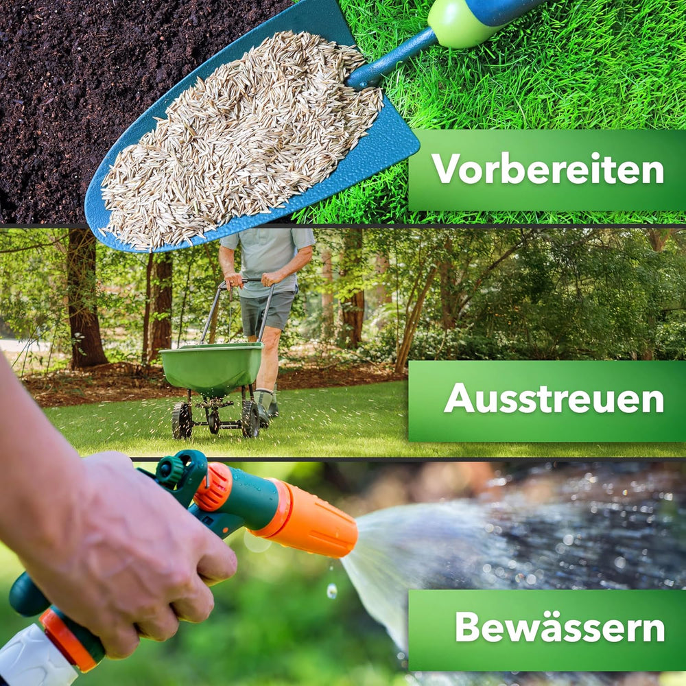 Hesa Schattenrasen RSM 7.4, 1Kg Für Ca 50 M², Premium Rasensamen, Zierrasen Für Schatten, Halbschatten Und Auch Vollsonne, Grassamen in Profiqualität