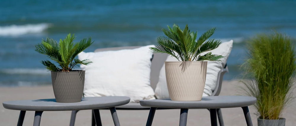 Set de 5 ghivece maro, diametru 16 cm – Ghivece robuste din plastic – Jardinieră decorativă cu opțiune de drenaj – Ghiveci elegant pentru interior și exterior