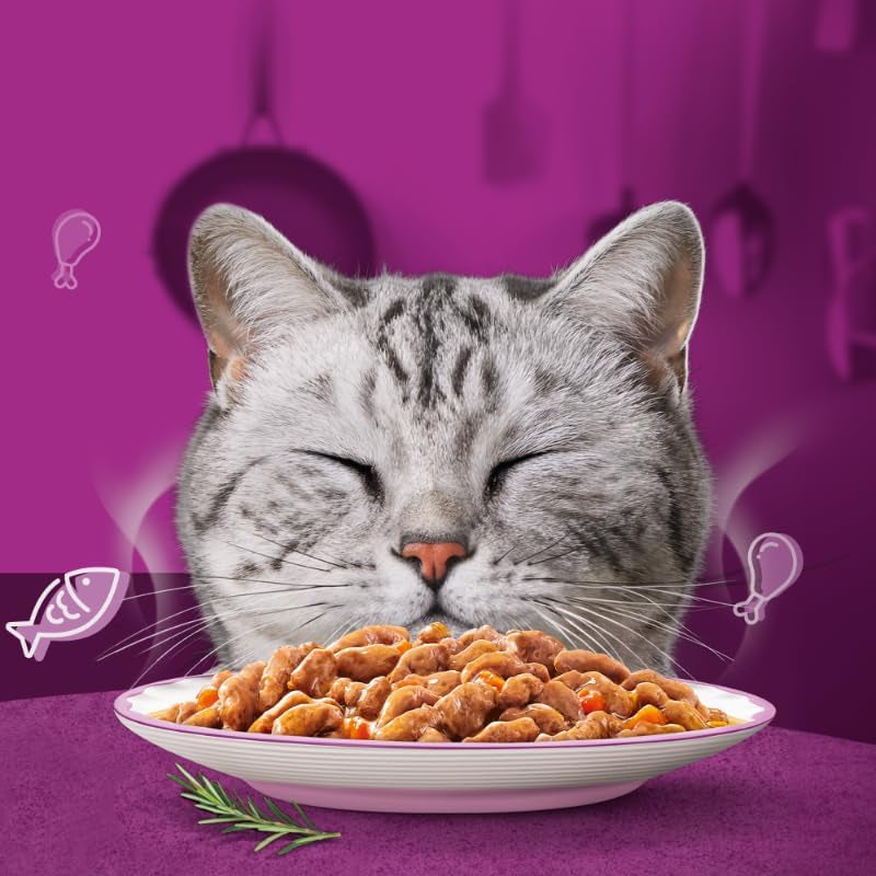 WHISKAS Aromatic Selection Multipack hrană umedă pentru pisici 1+, 40X85G - 4 arome: Porc, pui, somon, pește de mare în sos